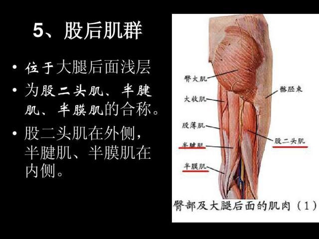 PG模拟器官网-阿尔卡拉斯和德约的共同体会：大腿后侧太重要了！
