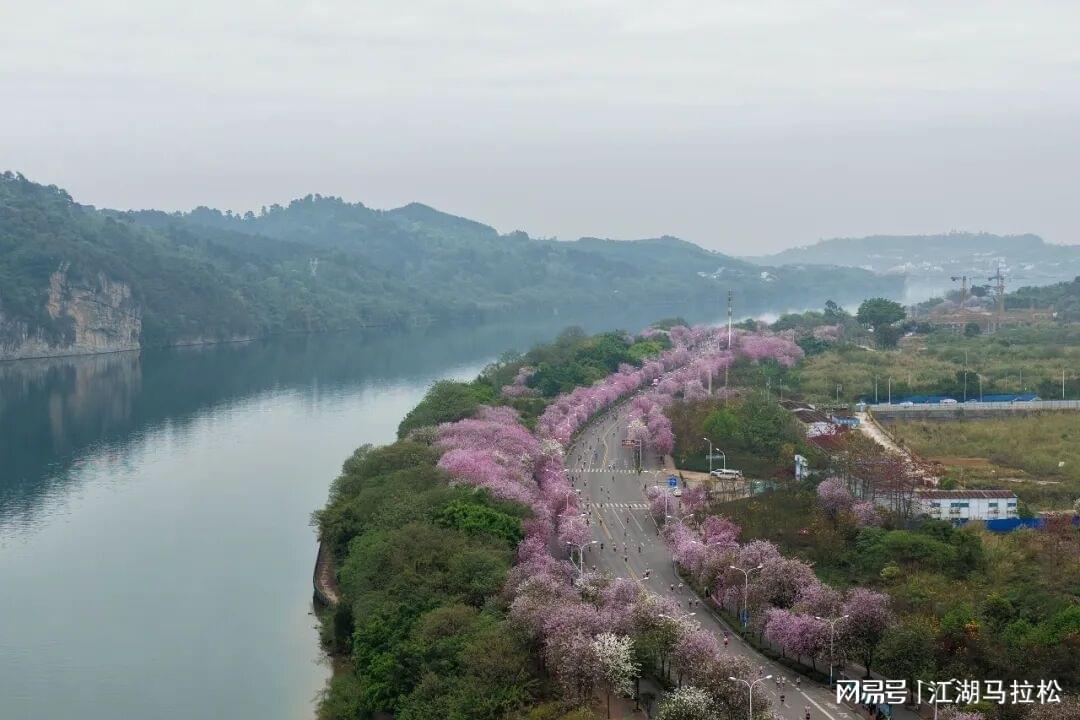 pg电子娱乐平台-马拉松比赛前夜释放弃赛名额，有操作性吗